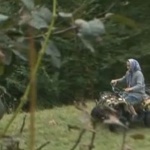 Баба пасе стадото си овце с... АТВ