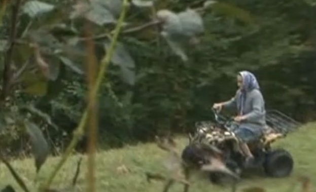 Баба пасе стадото си овце с... АТВ