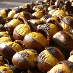 Фестивал на кестена в с. Брежани