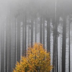 Предстоящи събития в страната за днес, 14 октомври 