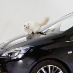 Котката на Лагерфелд рекламира Opel