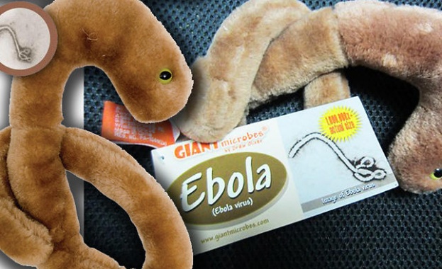 Ебола вече се продава във вид на плюшена играчка