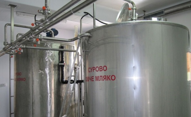 Липса на близо 38 тона кашкавал за държавния резерв е