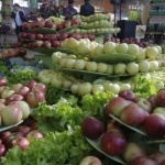 Русия забрани вноса на растителна продукция от Украйна