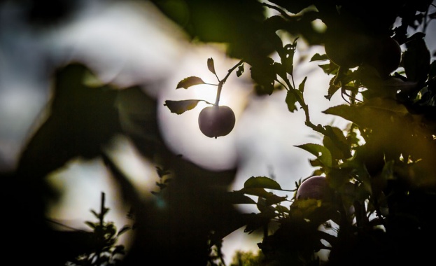 Предстоящи събития в страната за утре, 23 октомври