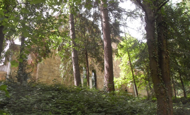 Архитектите топят митрополит Николай пред патриарха 