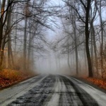 Предстоящи събития в страната за утре, 18 ноември