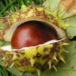 Предстоящи събития в страната за 17 октомври