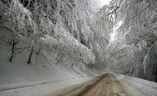 Автобус закъса в планината