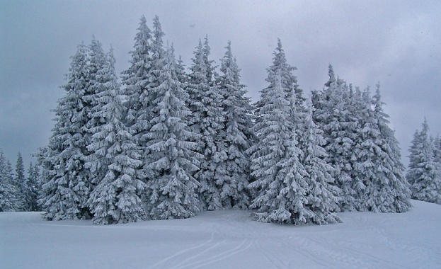 Нова жертва на зимата