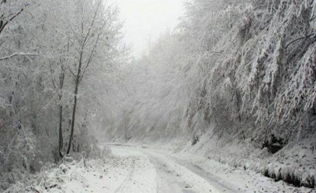 Военни помагаха при евакуацията на бедстващи в прохода Троян-Кърнаре