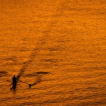 Предстоящи събития в страната за днес, 28 октомври