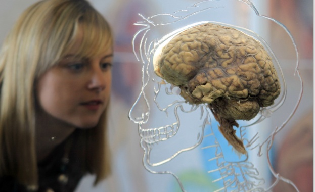 Една пета от случаите на шизофрения е предизвикана от токсоплазмоза