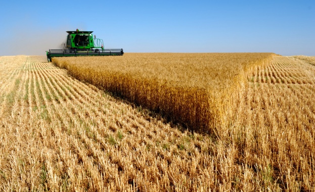 Русия счупи тригодишен рекорд за износ на зърно