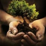 Ако искаш сто години благоденствие - възпитавай хора