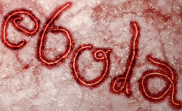 Какво трябва да знаем за ебола 