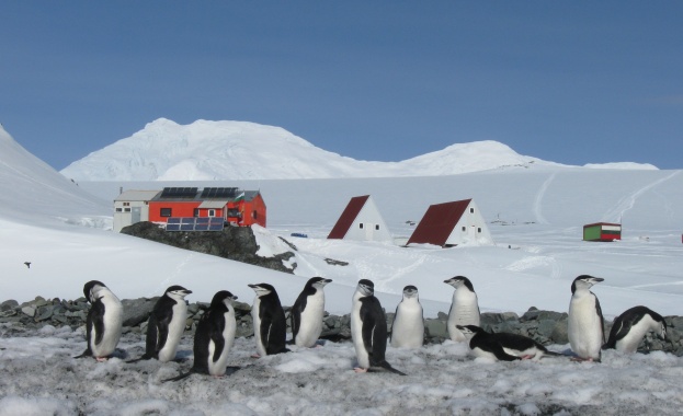Полярници откриват художествена галерия на остров Ливингстън