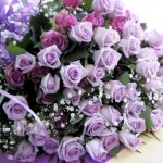 Родени на 2 февруари