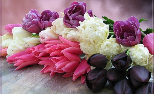 Рождениците днес 