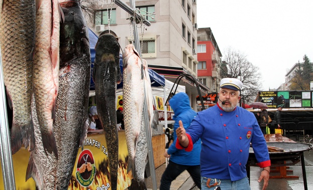Риби-рекордьори в центъра на Стара Загора