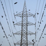 Пожар в колектор остави част от София на тъмно