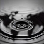 Петролните котировки се стабилизират