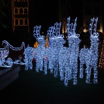 Предстоящи събития в страната 