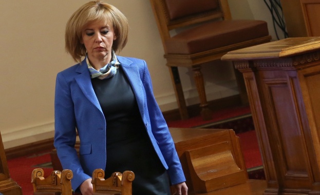 Консултативен конституционен съвет ще подпомага Мая Манолова