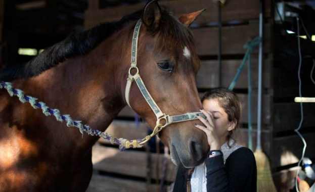 Емил Радев: Необходими са законодателни мерки срещу случаите на насилие върху животни