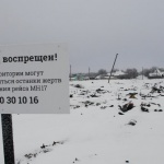 Секретен свидетел твърди: Малайзийският Боинг е свален от украински пилот