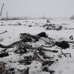 СК на РФ реши да провери чрез детектора на лъжата украинския пилот Волошин