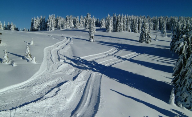 Откриват ски сезона на Витоша
