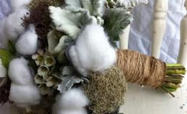 Рождениците днес 