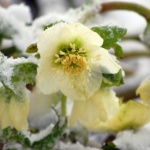 Днес да почерпят...