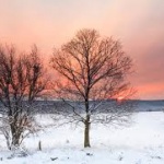 Предстоящи събития в страната 