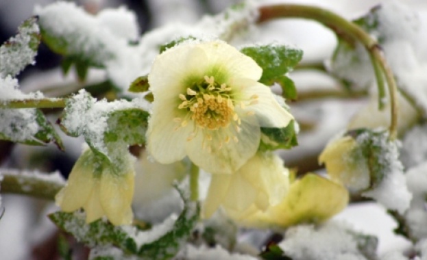 Днес да почерпят...