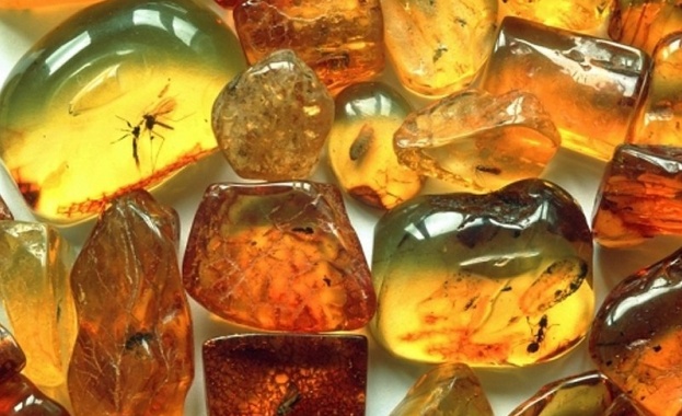 Крайбрежието на Балтийско море „обсипано“ с кехлибар