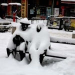 Предстоящи събития в страната 