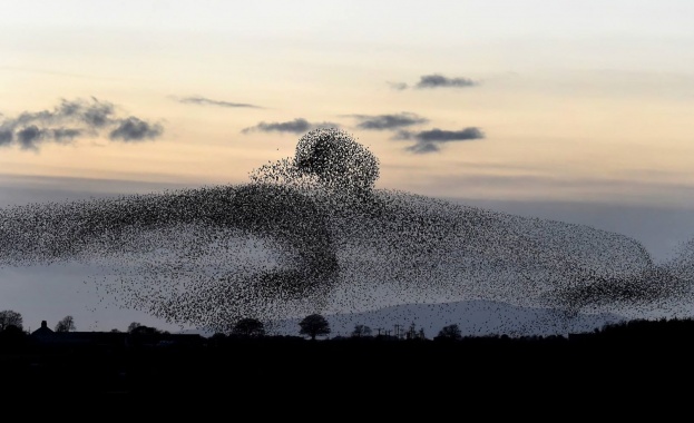 Предстоящи събития в страната за днес, 15 януари