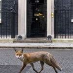 Предстоящи събития за днес, 18 януари