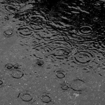 Предстоящи събития в страната за утре, 22 август