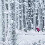 Предстоящи събития в страната за днес, 1 февруари