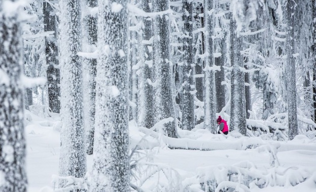 Предстоящи събития в страната за днес, 1 февруари