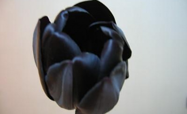 Рождениците днес 