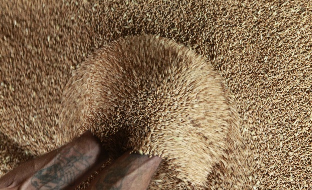 Oakland Institute: ГМО-корпорациите нахлуват в Украйна