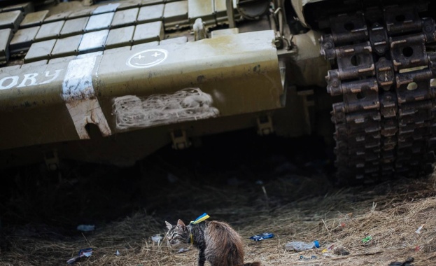 Коктейл Молотов. С лед, ако обичате!