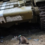 Коктейл Молотов. С лед, ако обичате!