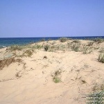 Проверката на Централния и Южния плаж на Слънчев бряг не откри нарушения