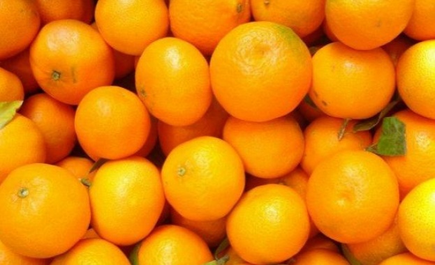 Портокалът е дар от природата