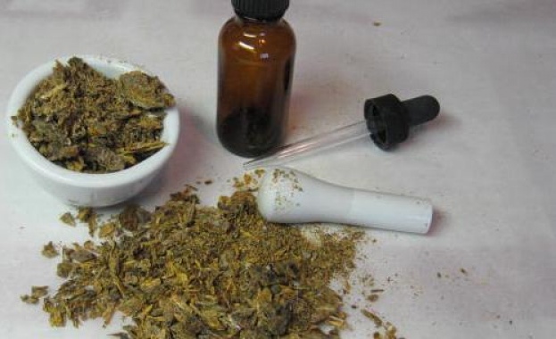 Най-силното лекарство, което бори вирусите, е клеевата тинктура